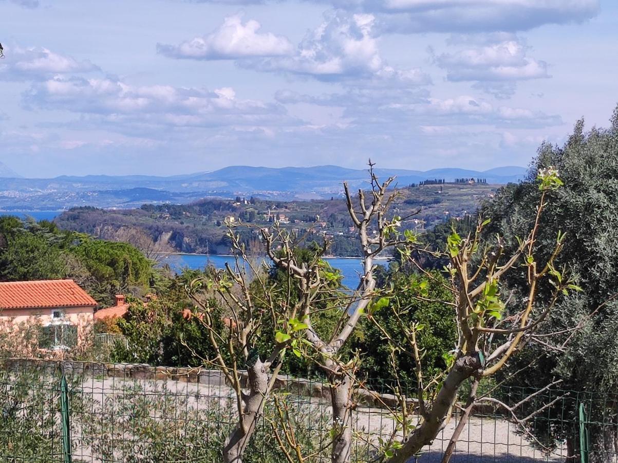 Apartma Sonja 2 Piran Exteriör bild